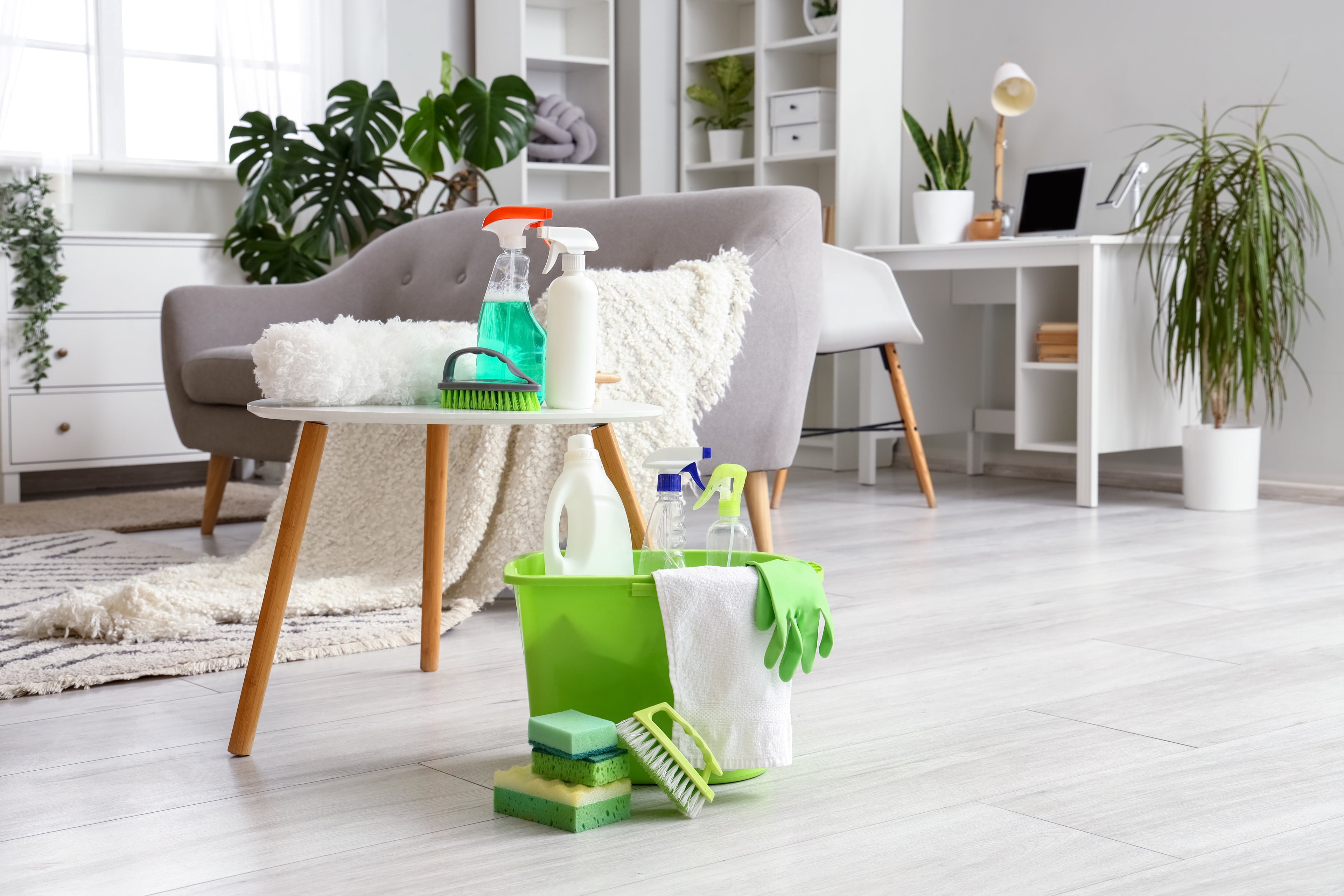5 Eco-Friendly House Cleaning Tips