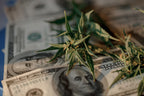 6 Cannabis Causes You Can Donate to Make an Impact