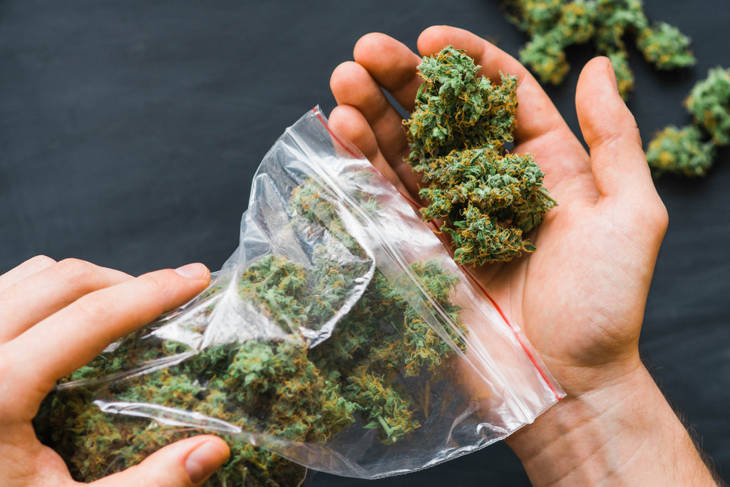 6 Cannabis Growers on Instagram Worth Following