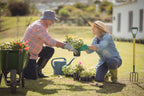 7 Colorful Flowers to Plant In the Fall