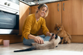 8 Eco-Friendly Pet Toys You Can Make at Home
