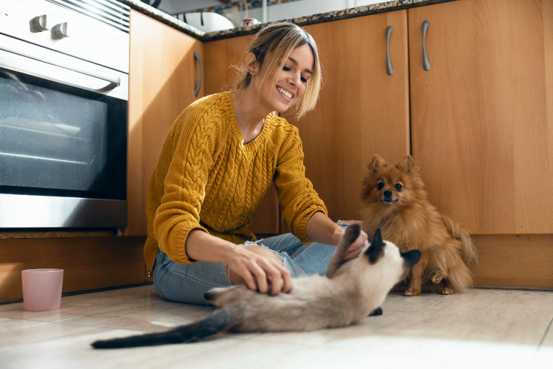 8 Eco-Friendly Pet Toys You Can Make at Home