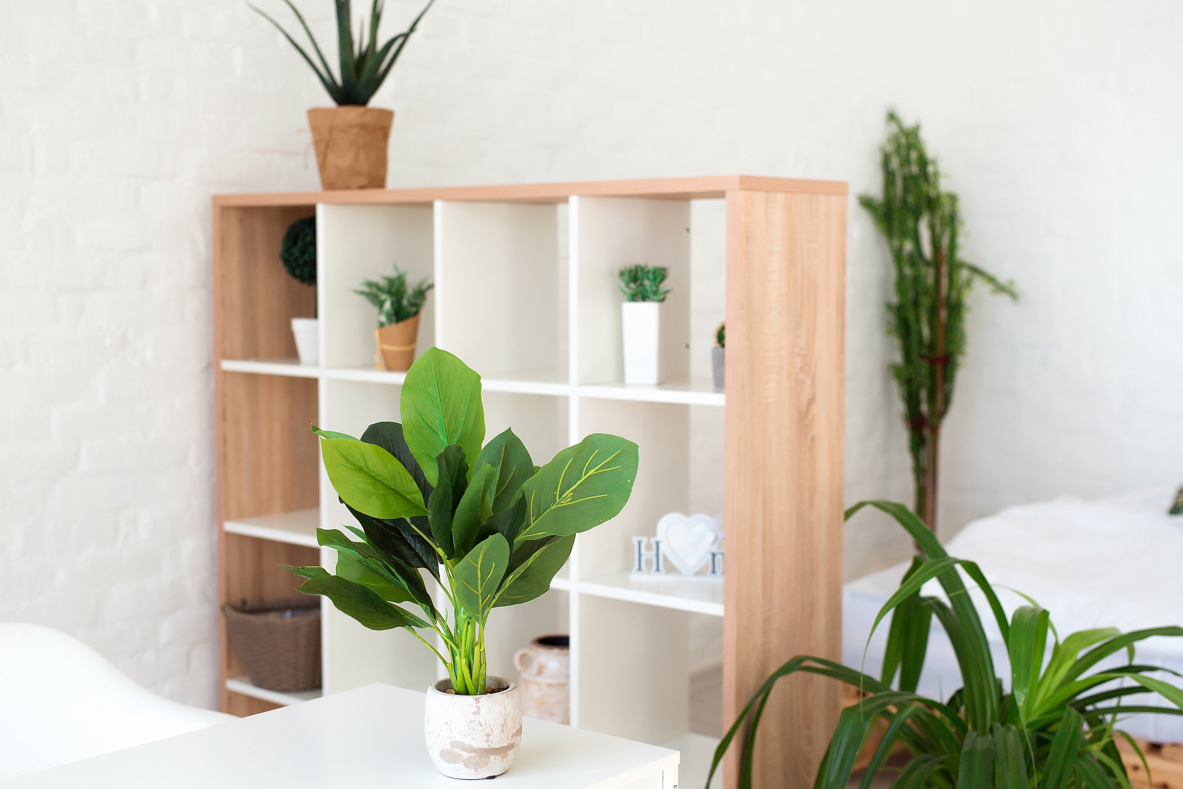 A Guide to Slow Design and Tips for Using it at Home