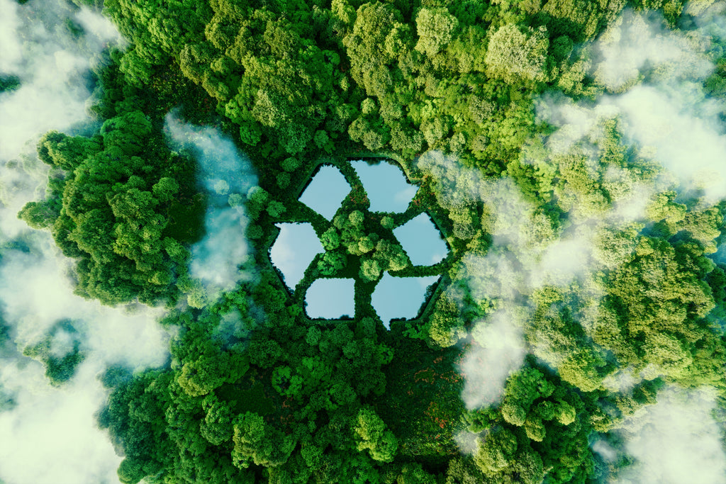 A Simple Recycling Guide For Eco-Conscious Beginners