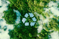 A Simple Recycling Guide For Eco-Conscious Beginners