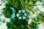 A Simple Recycling Guide For Eco-Conscious Beginners