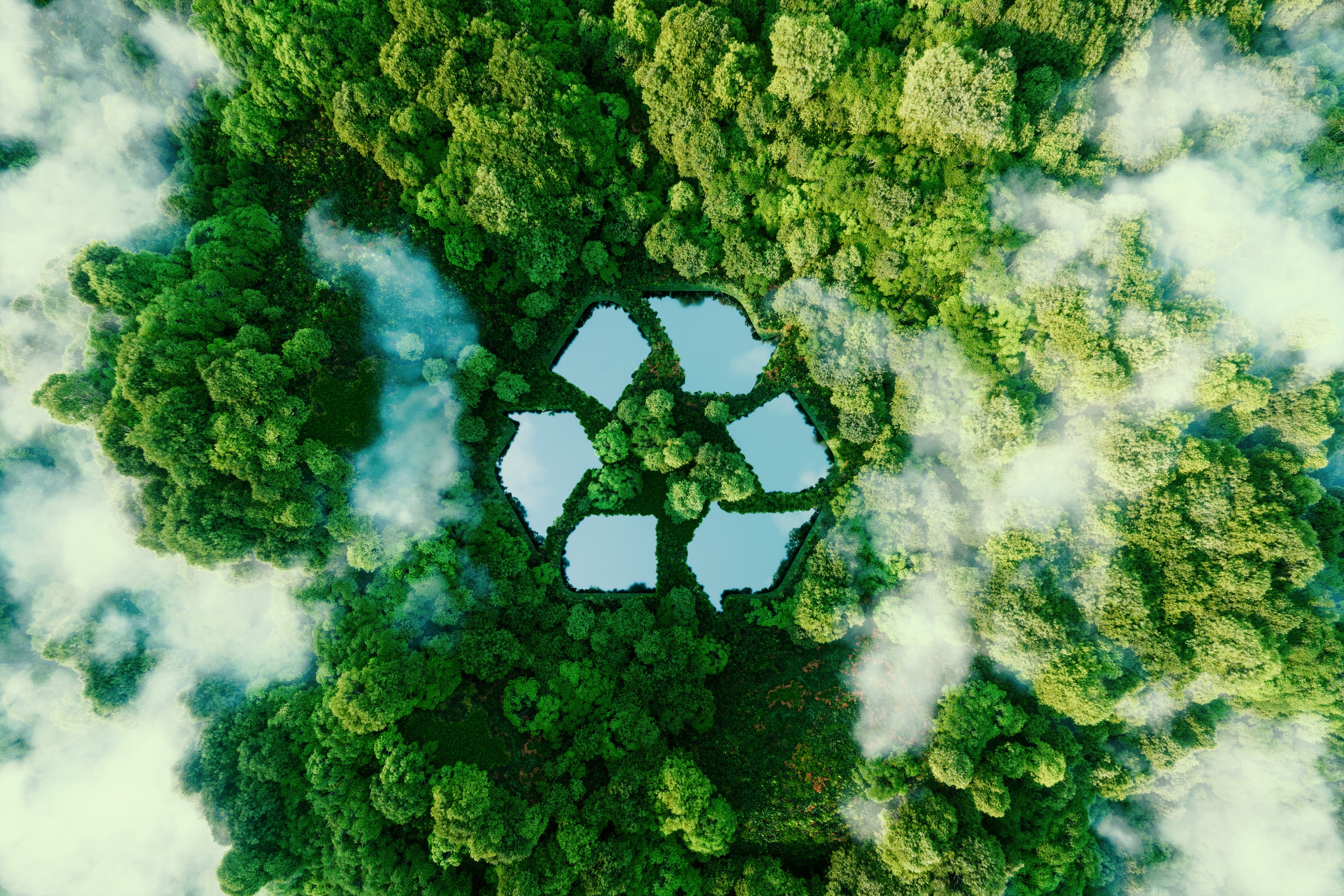 A Simple Recycling Guide For Eco-Conscious Beginners