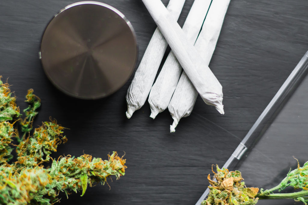 Acapulco Gold 101: The Legend Behind This Time-Tested Cannabis Strain