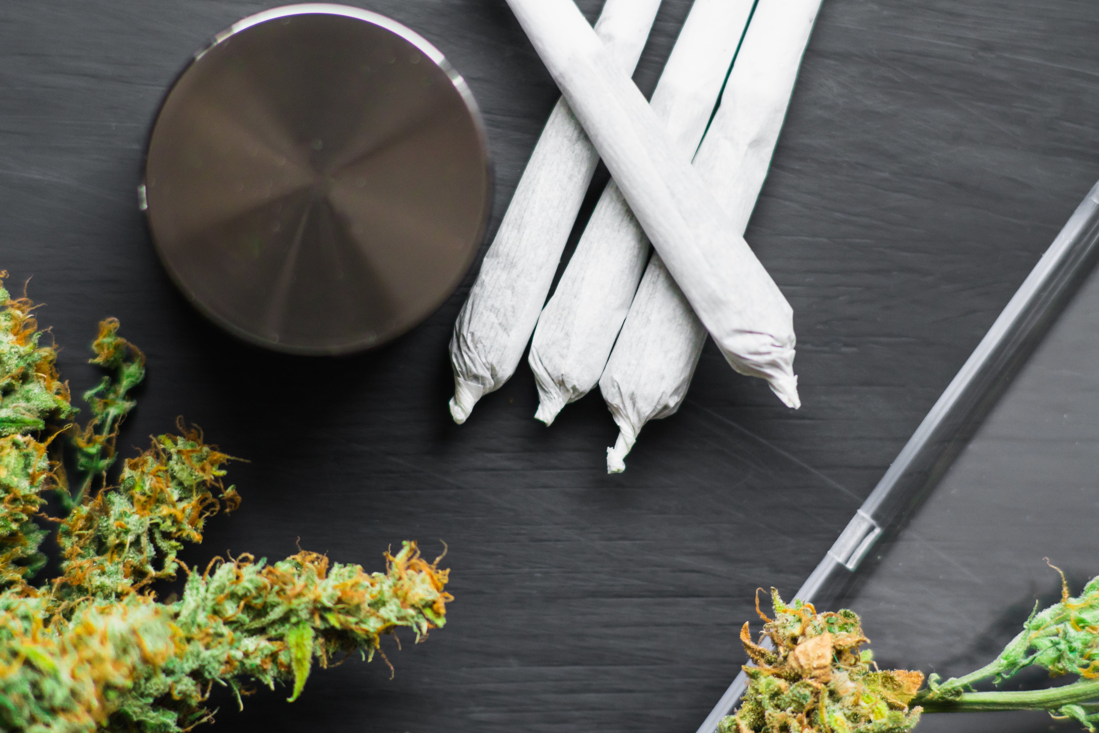 Acapulco Gold 101: The Legend Behind This Time-Tested Cannabis Strain