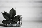 Add a New Pipe to Your Collection with This Helpful Guide