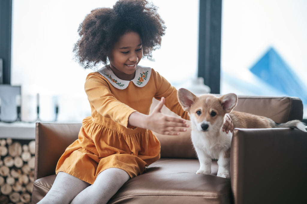 Adopting a Pet Helps You and the Planet: Here’s Why