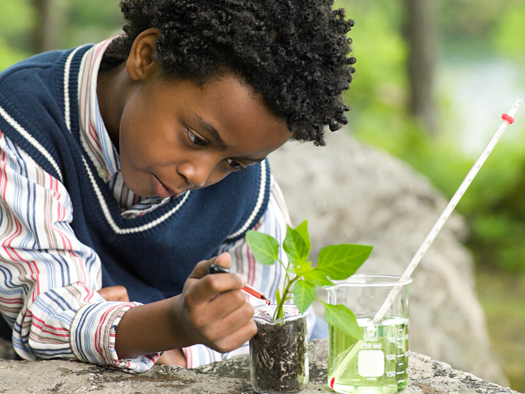 Being Green is Easy for Kids with These Games and Toys
