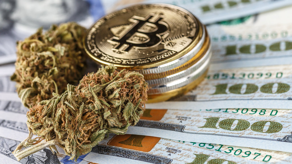 Blockchains and Bong Hits: The Curious Connection Between Crypto and Cannabis