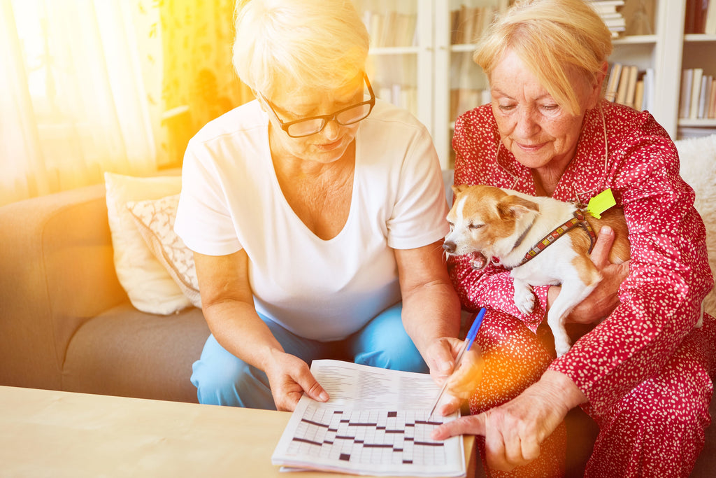 Boost Your Brainpower with These Free Online Crossword Puzzles