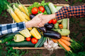 Boost Your Spring Pantry with These 10 In-Season Vegetables