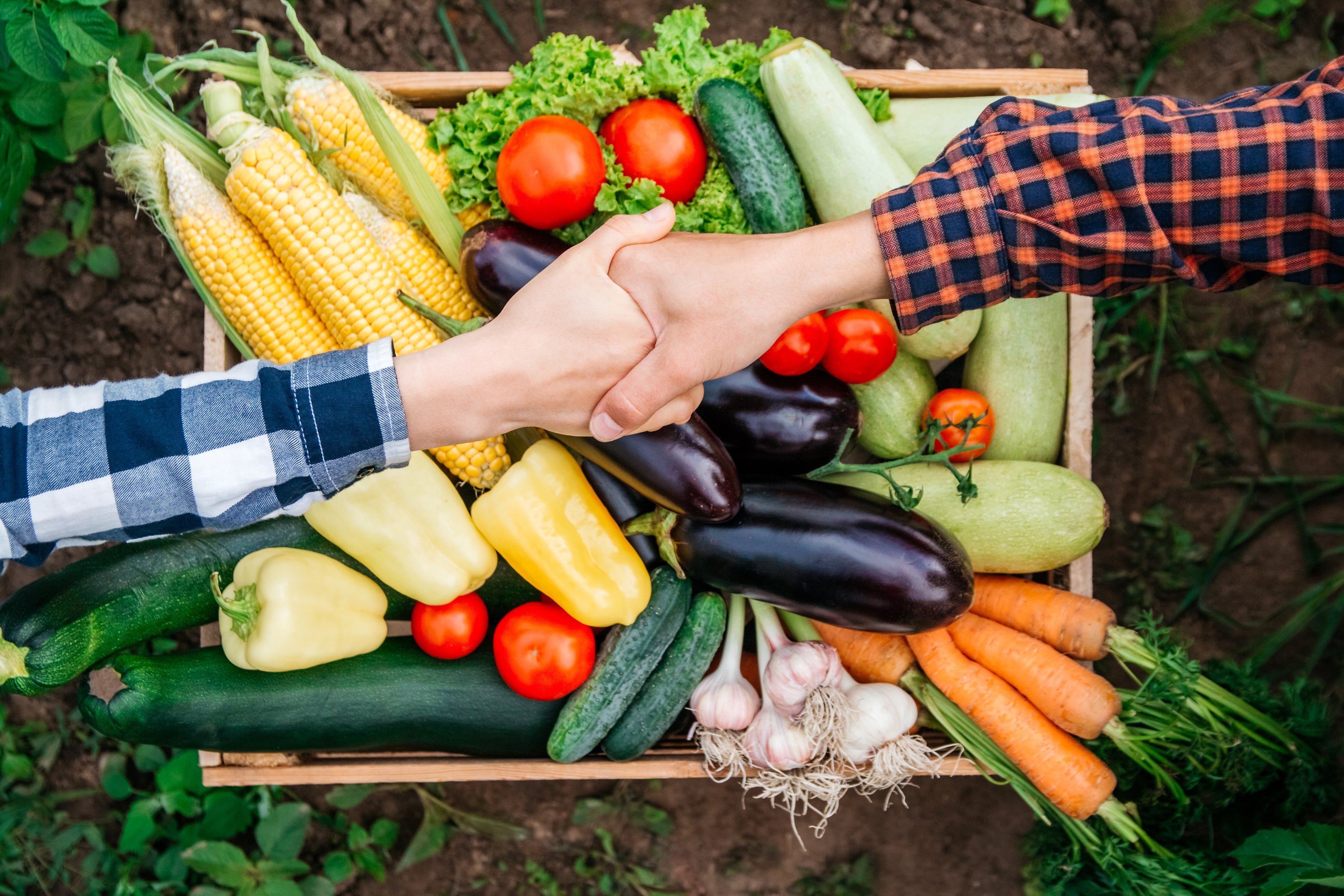 Boost Your Spring Pantry with These 10 In-Season Vegetables