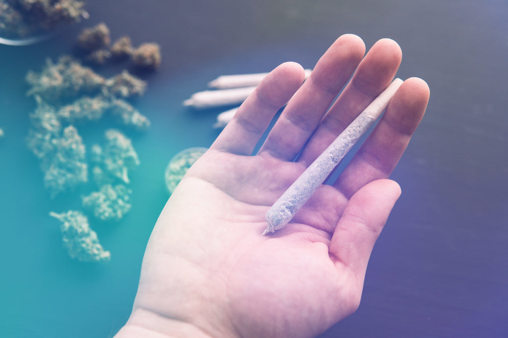 Burnt Out? Burn These Strains for a Focused and Productive High