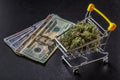 By the Numbers: How Much 7 States Rake In from Marijuana Sales