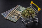 By the Numbers: How Much 7 States Rake In from Marijuana Sales