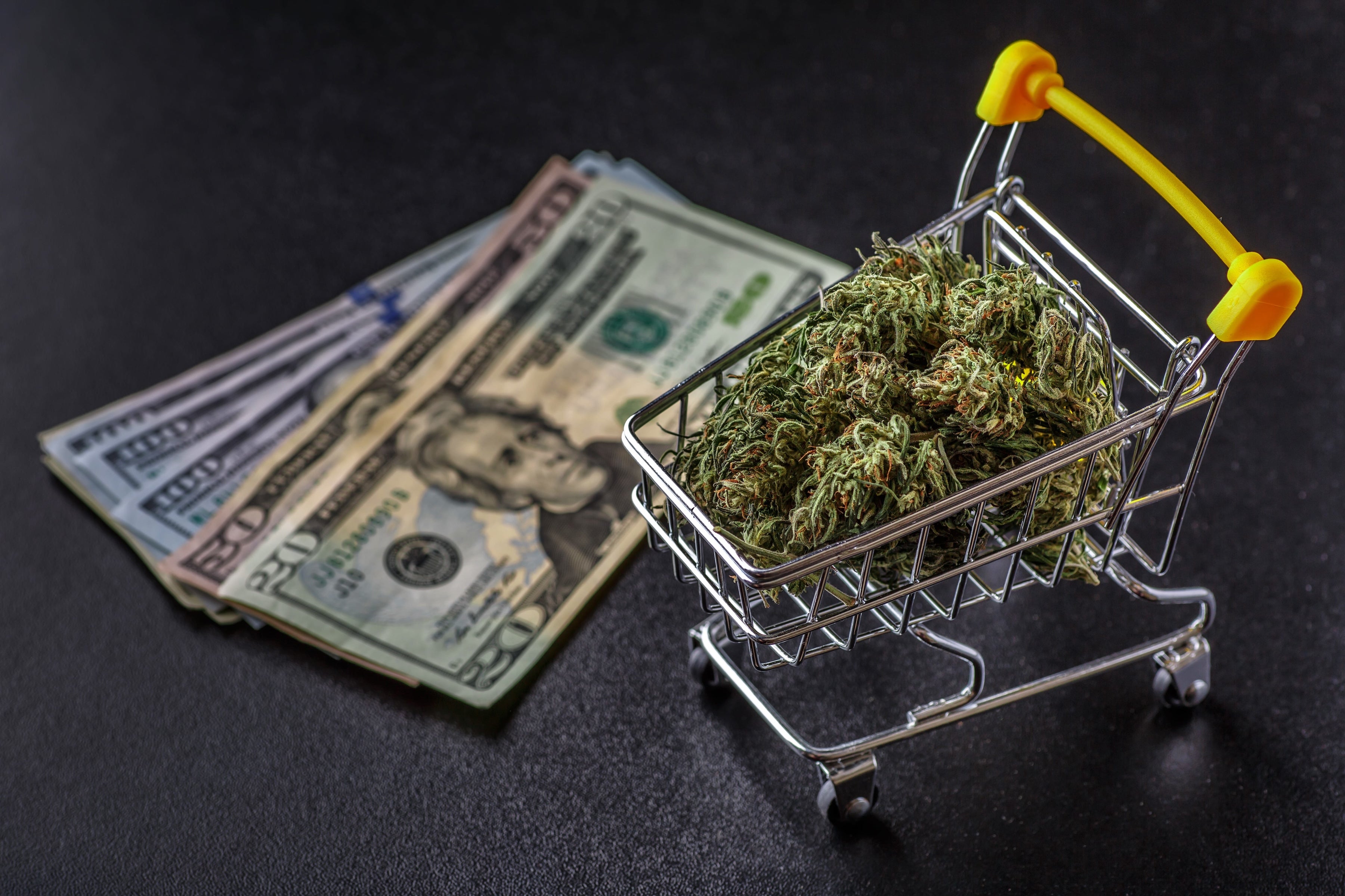 By the Numbers: How Much 7 States Rake In from Marijuana Sales