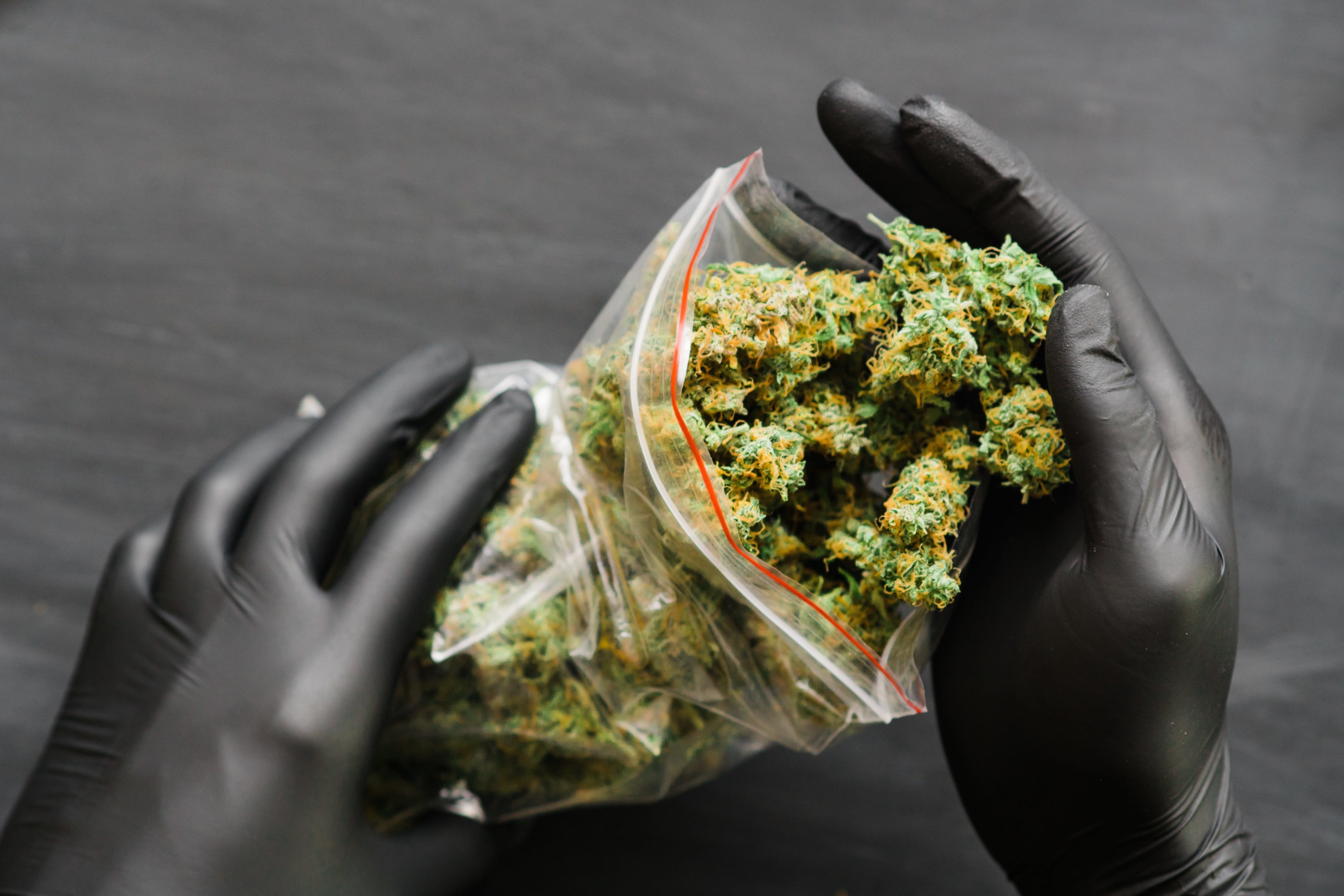 By the Numbers: How Much 7 States Rake In from Marijuana Sales