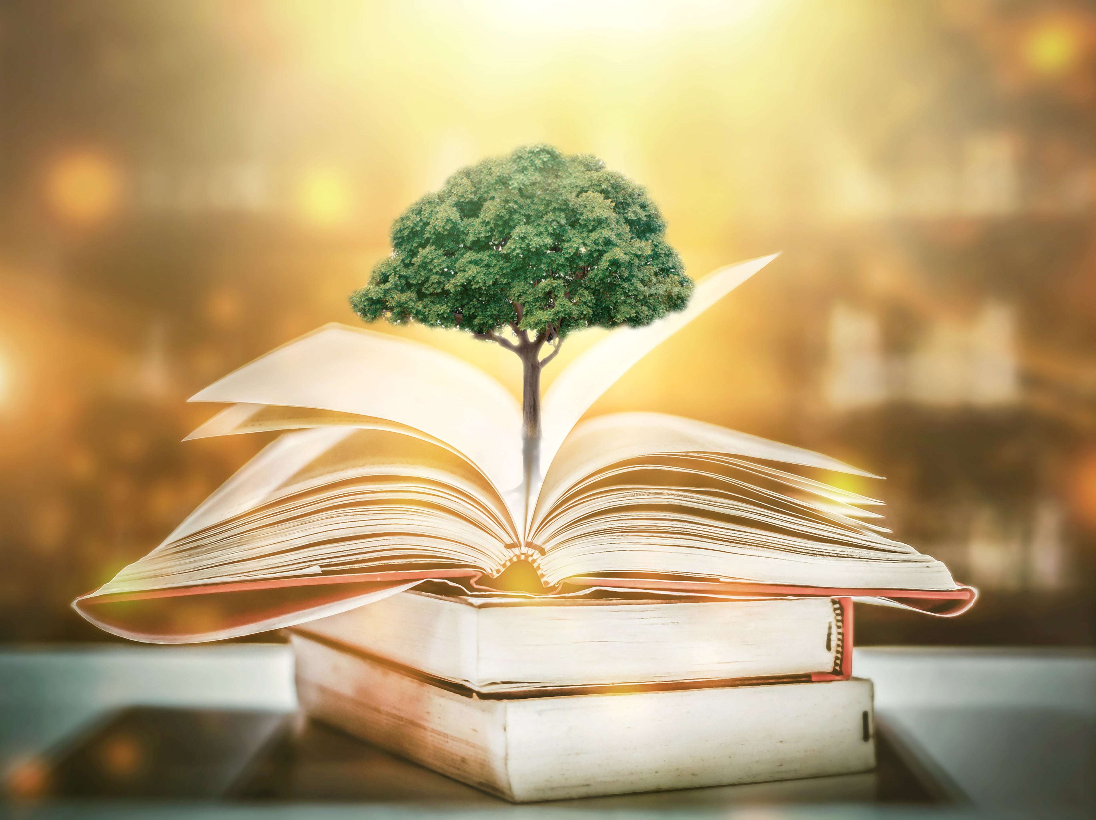 Career Paths for the Climate Change Warriors of the Future