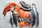 Combat Memory Loss with These Brain-Boosting Foods