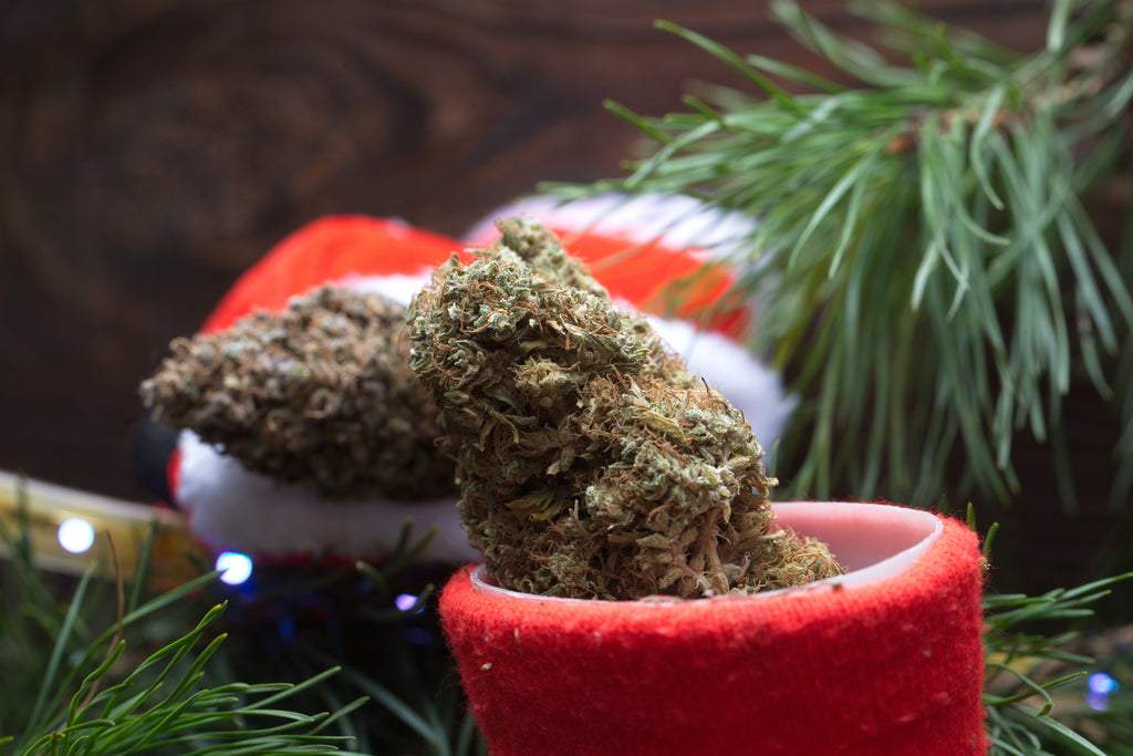 Count Down to Christmas with a Cannabis Advent Calendar