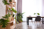 Curate a Simple Sanctuary for Self-Care at Home
