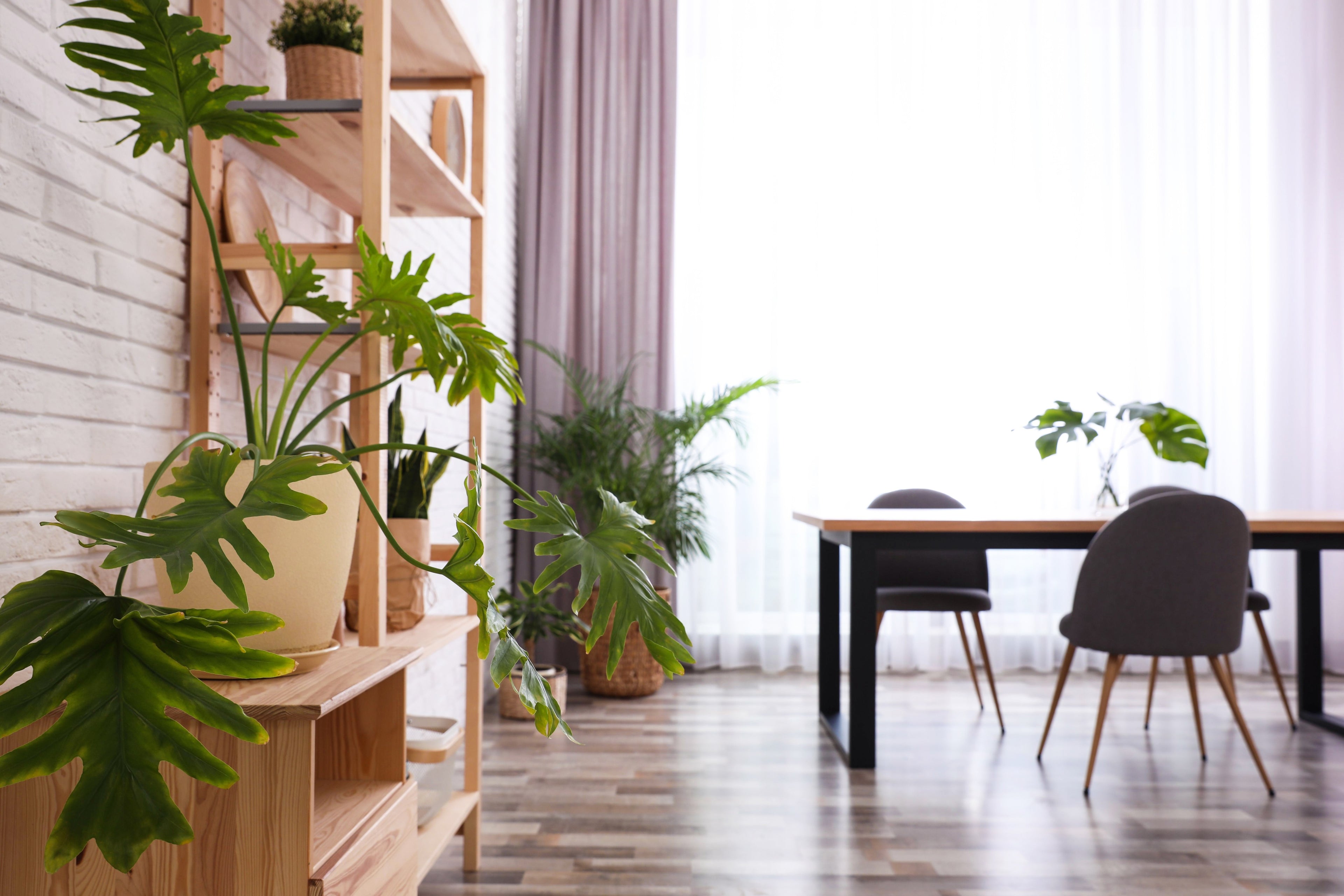 Curate a Simple Sanctuary for Self-Care at Home