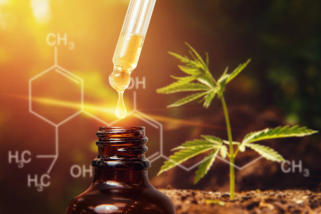 Differences Between CBD and THC and How to Use Both