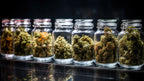 Dispensary Menu Breakdown: All of the Ways to Enjoy Cannabis