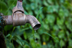 Easy Ways Kids Can Conserve Water at Home