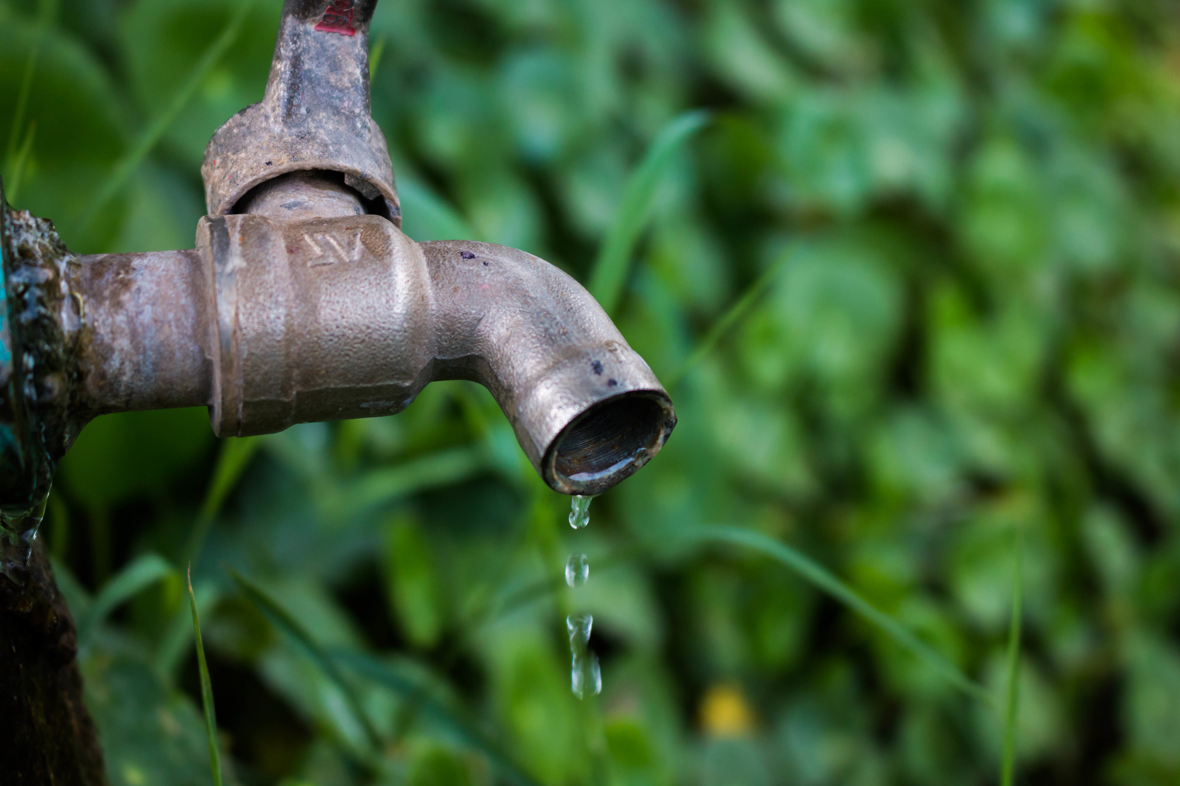 Easy Ways Kids Can Conserve Water at Home