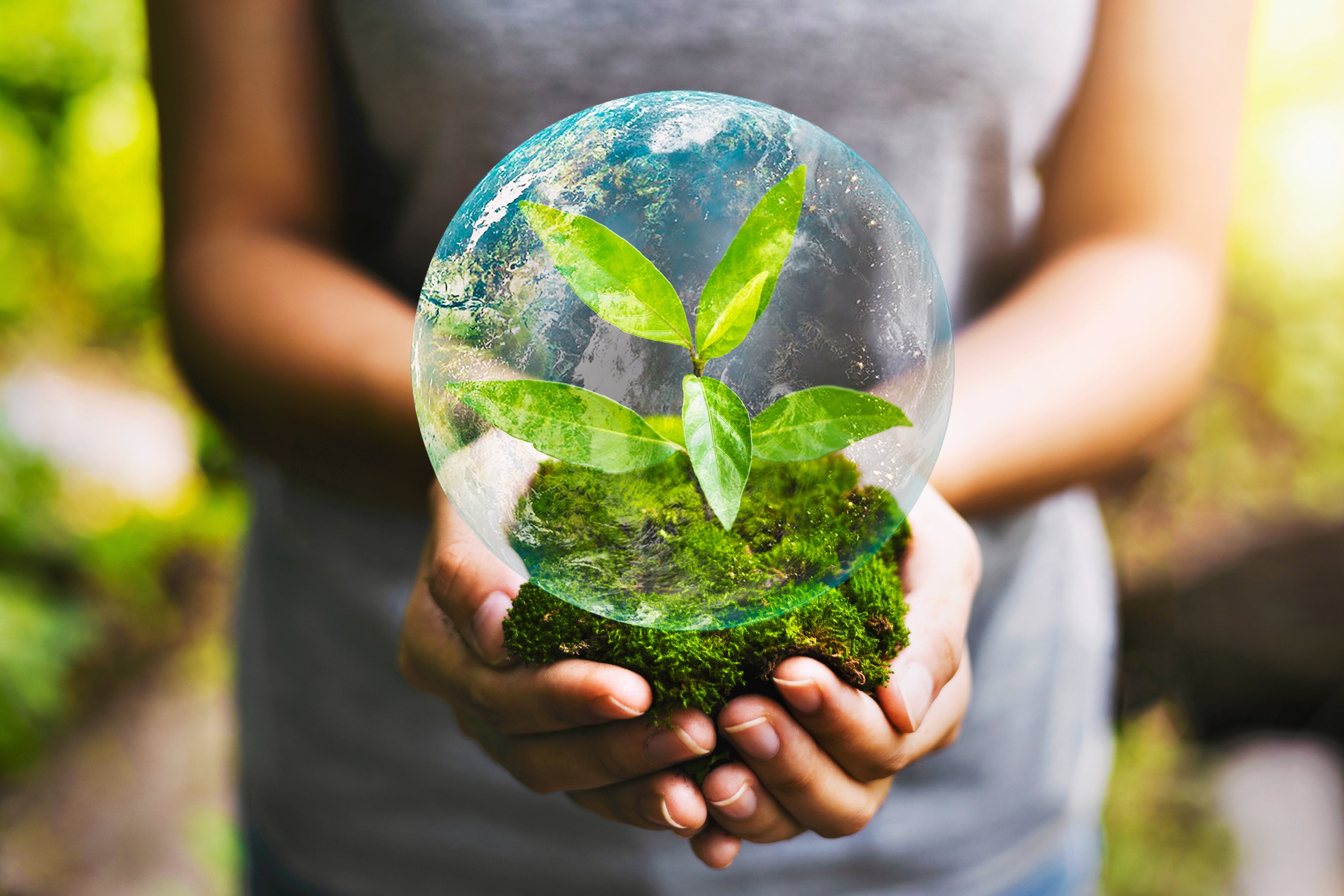 Eco-Friendly Finance: Celebrating Earth Day with Green Investment Options