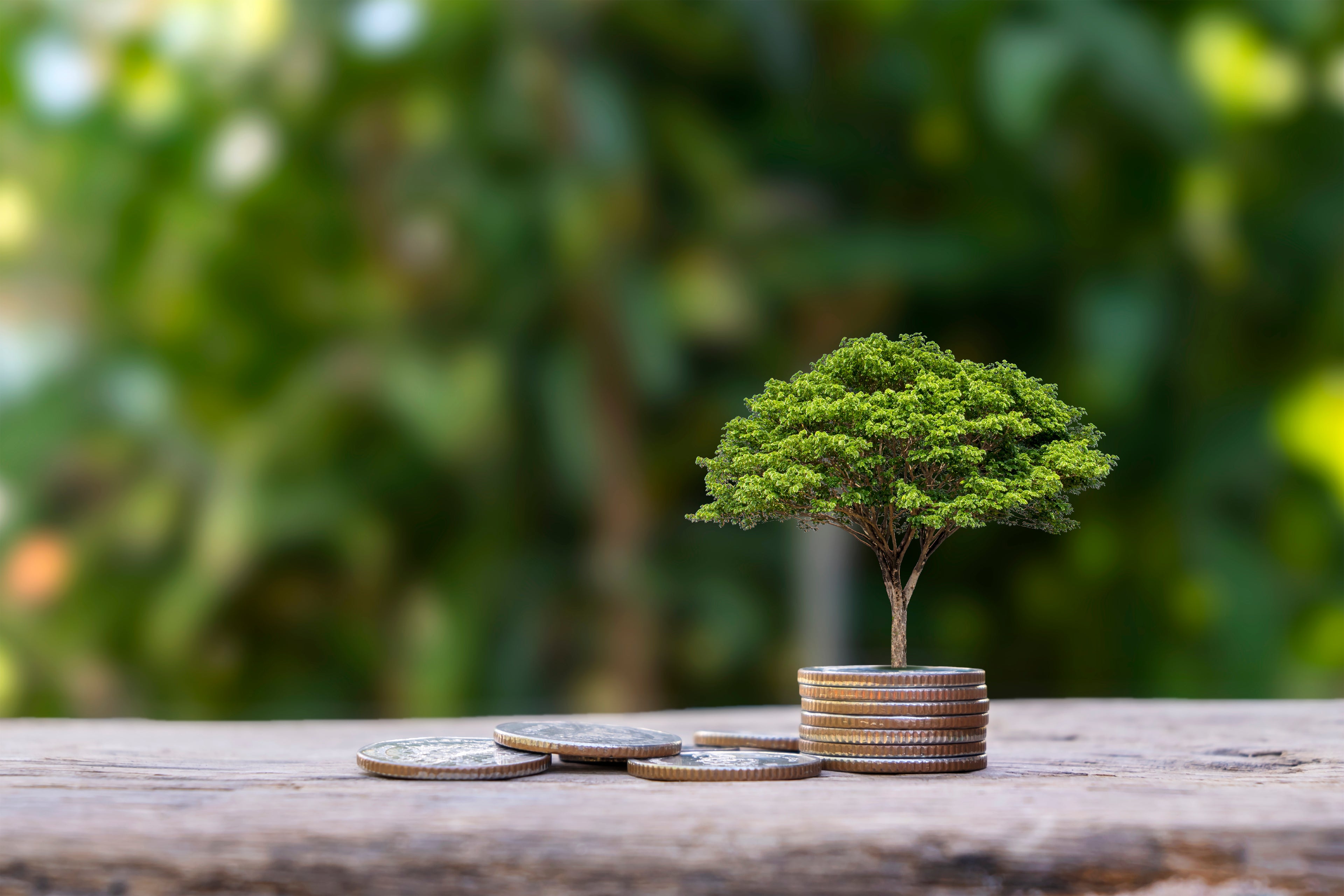 Everything You Need to Know About Savings Account Terms
