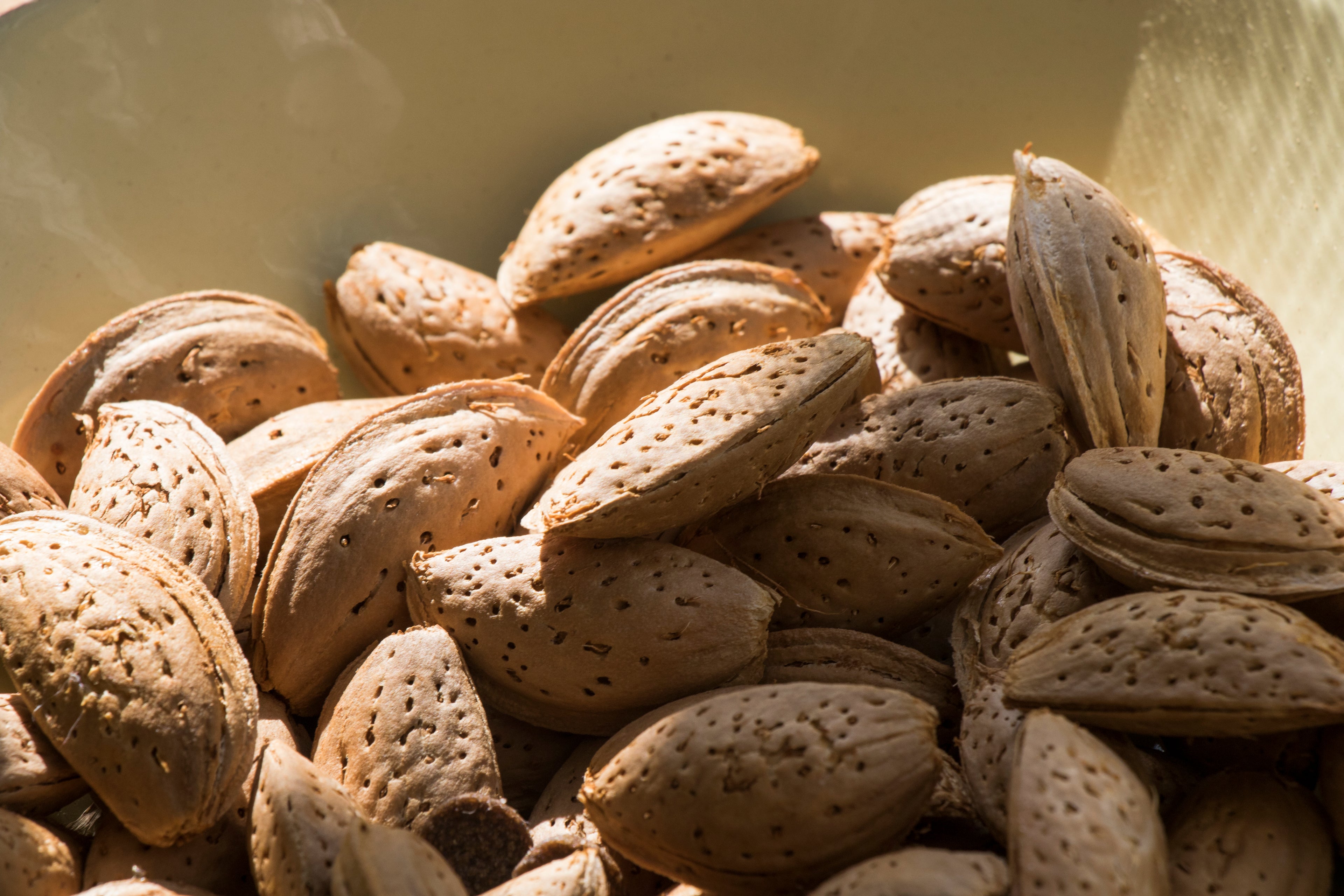 Feeling Nutty? Here’s Why You Should Add Nuts to Your Diet