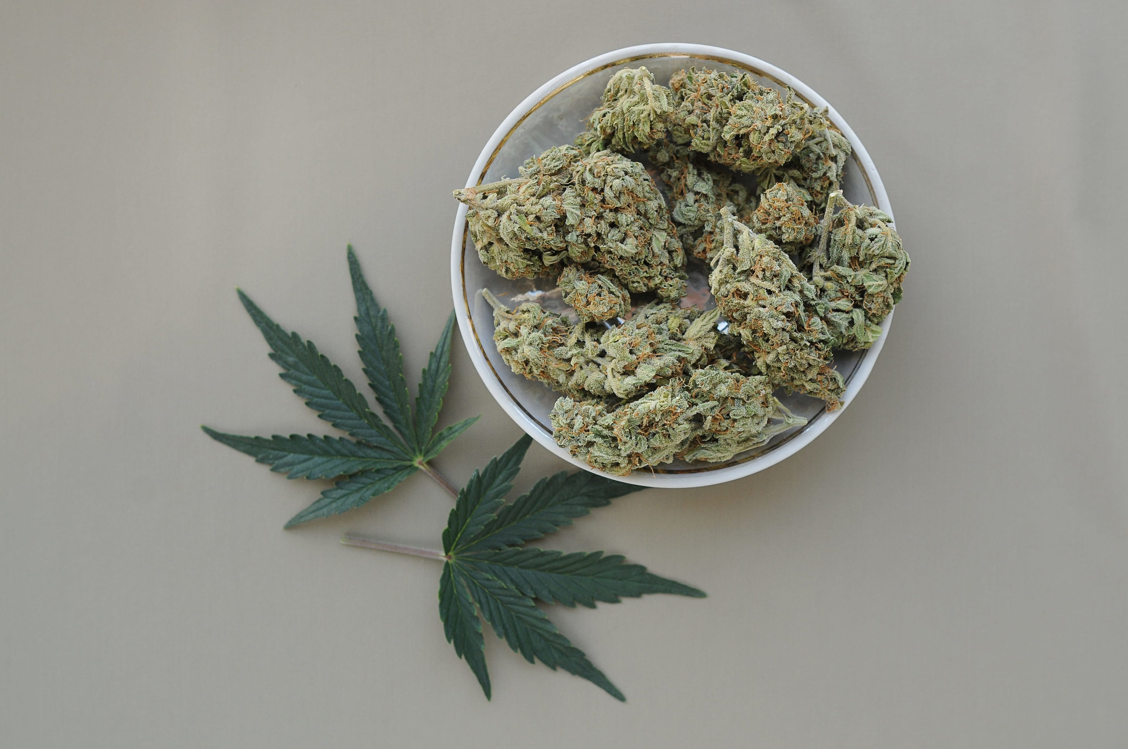 Feeling Stuck? Reignite Your Creativity with One of These Strains