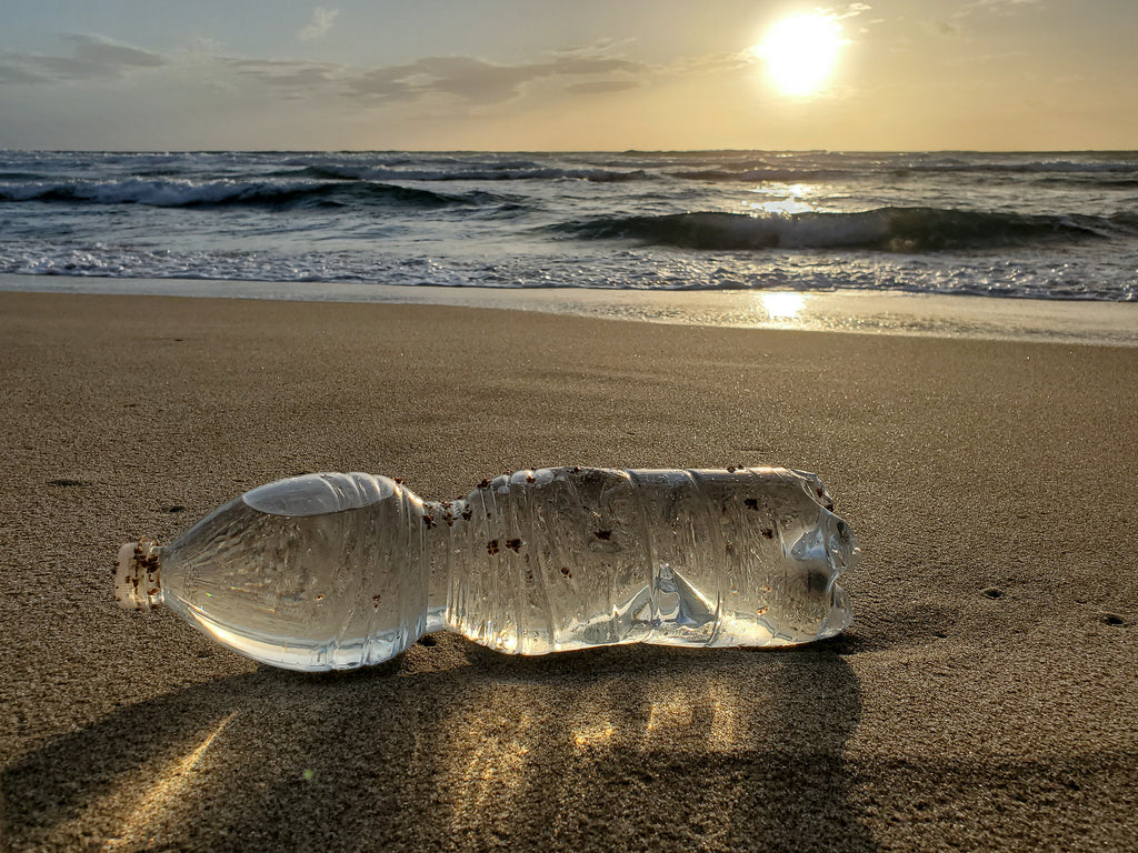 Find Beach Cleanup Opportunities with These Nonprofits