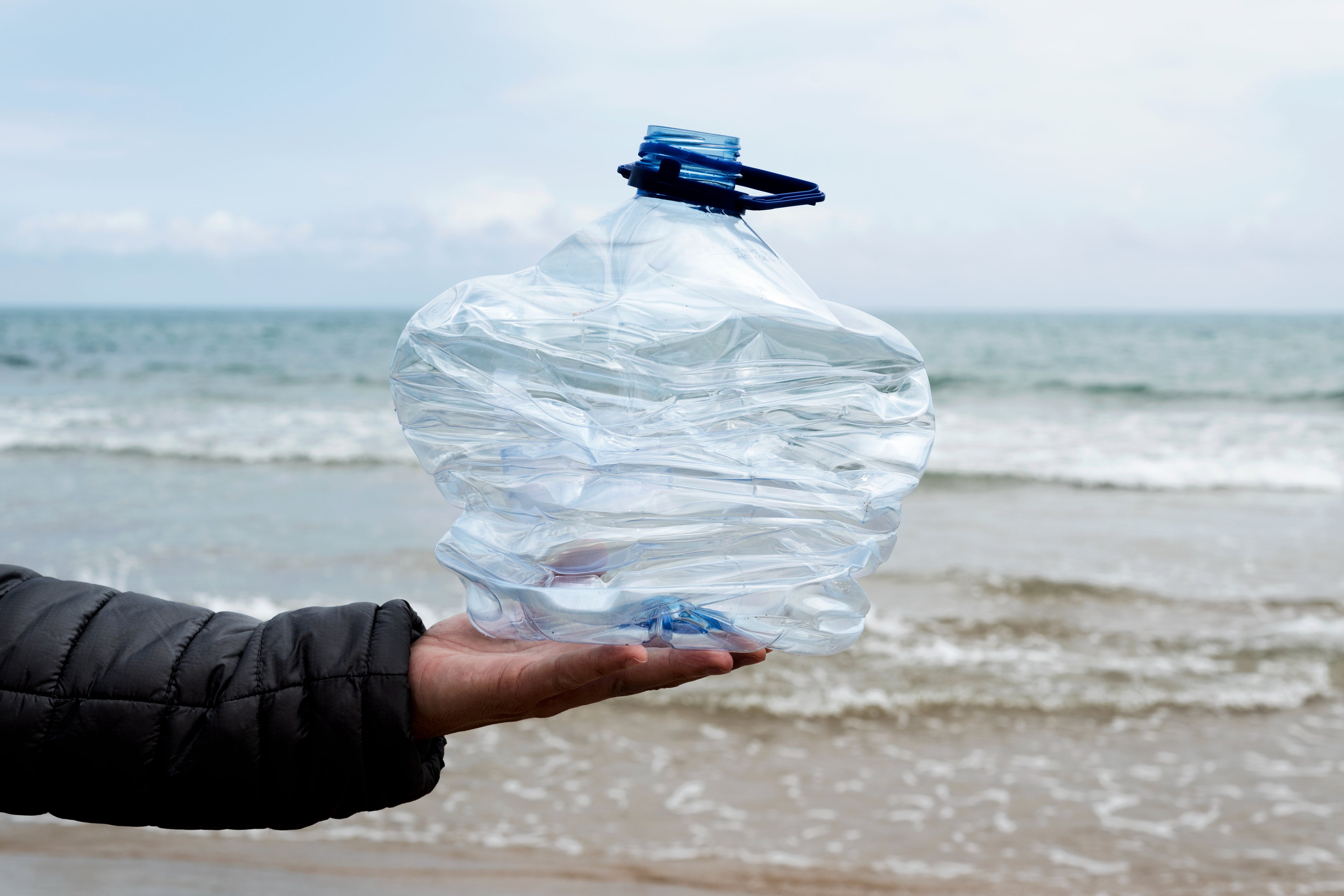Find Beach Cleanup Opportunities with These Nonprofits
