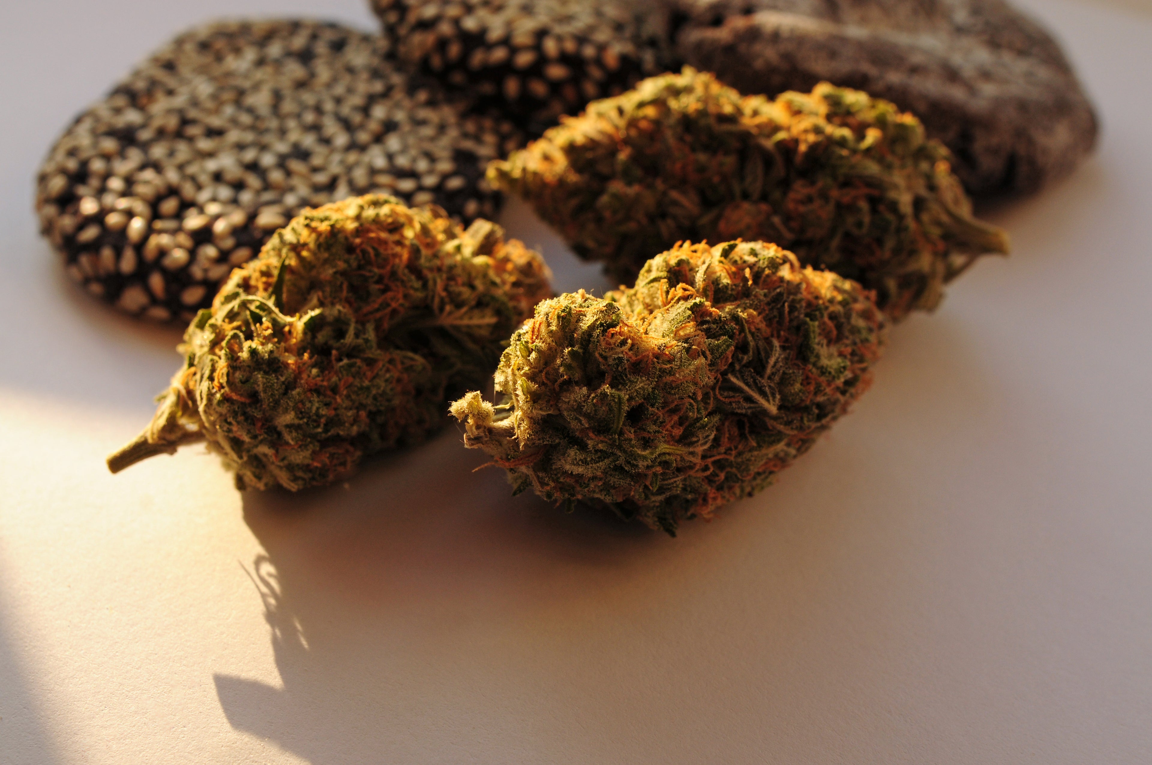 Forget Brownies. Try These Cannabis-Infused Edible Recipes Instead