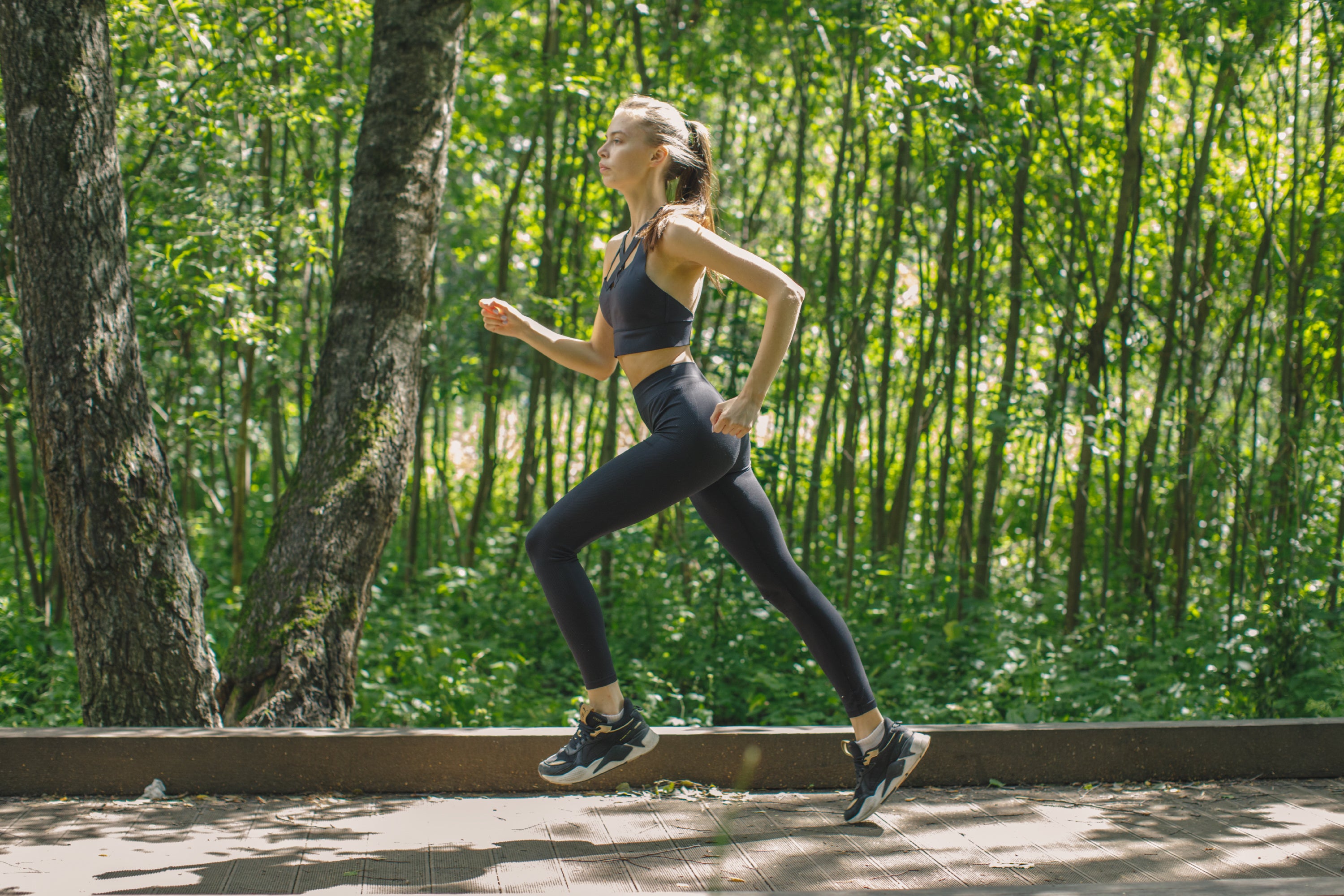 Free Resources to Build a Quality Fitness Routine on a Budget