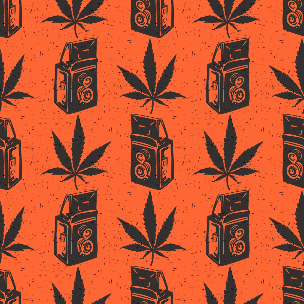 From Flop to Fave: 5 Fascinating Facts About the Marijuana Propaganda Film 'Reefer Madness'