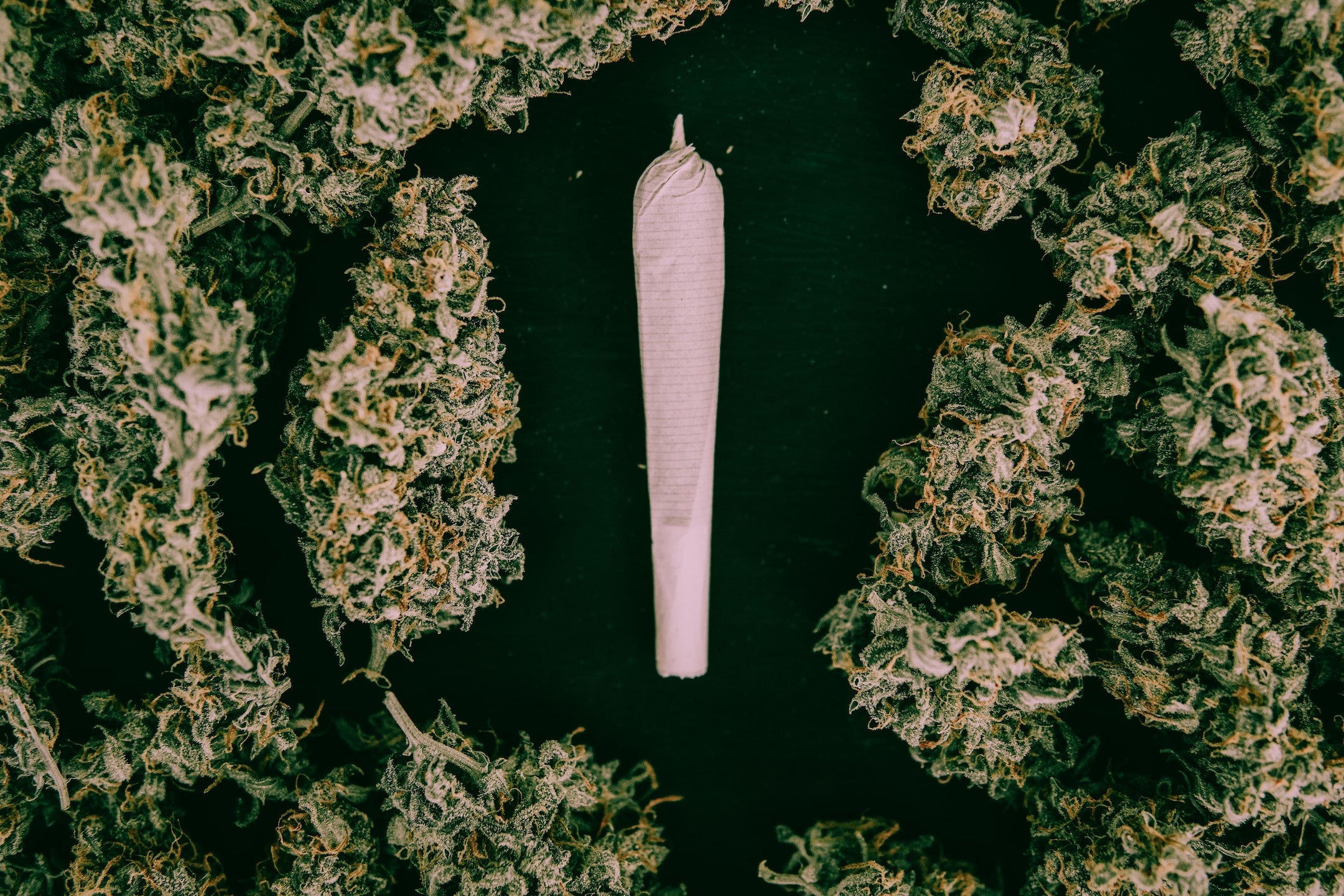 From Flop to Fave: 5 Fascinating Facts About the Marijuana Propaganda Film 'Reefer Madness'