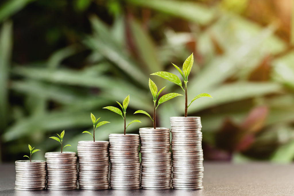 From Pixels to Portfolios: The Rise of Nonfungible Tokens Investing