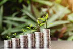 From Pixels to Portfolios: The Rise of Nonfungible Tokens Investing