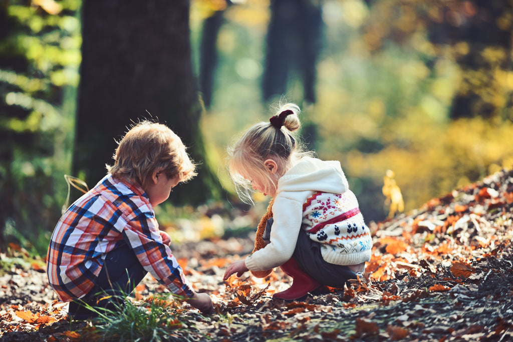 Fun Activities to Teach Children About Preserving the Environment