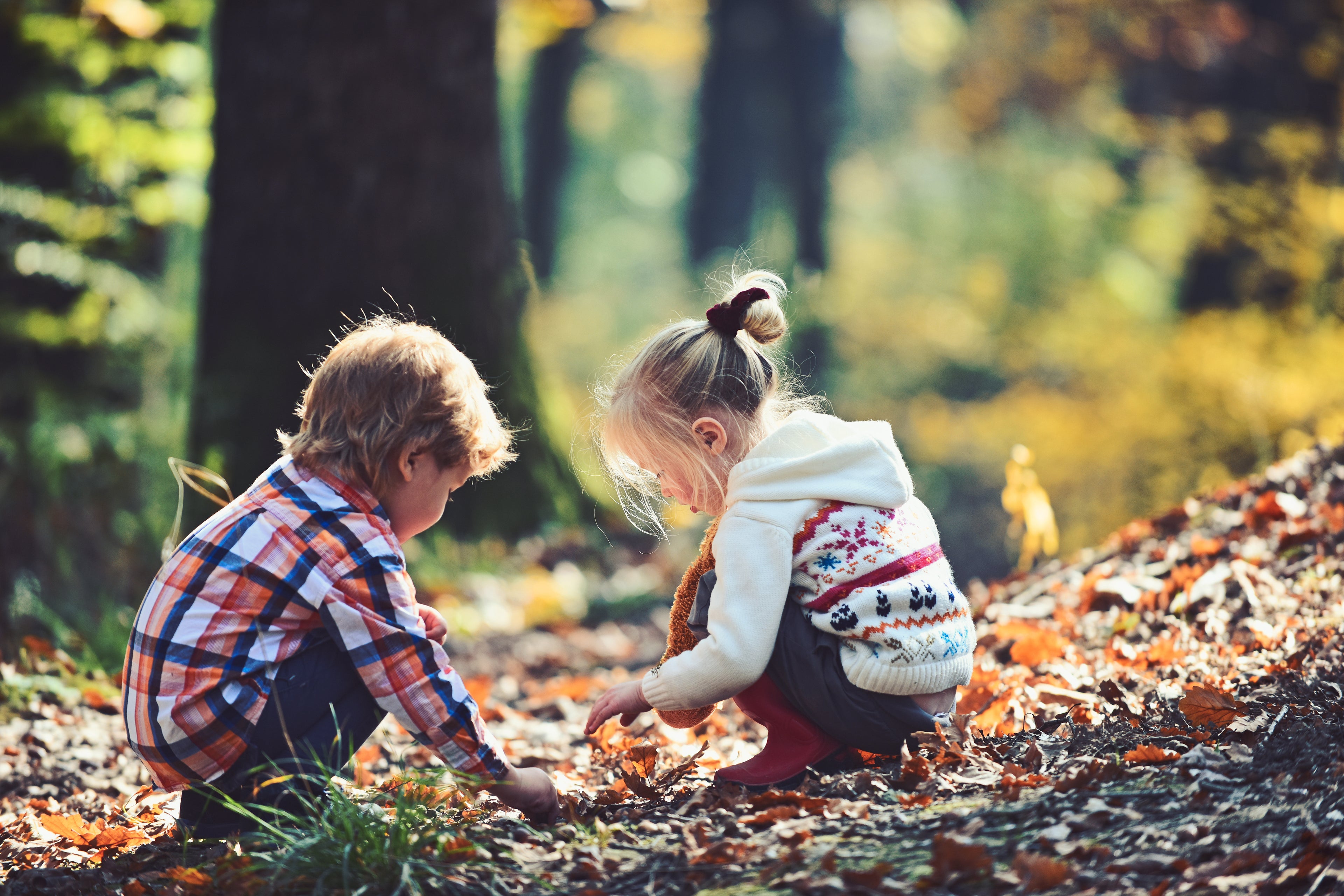 Fun Activities to Teach Children About Preserving the Environment