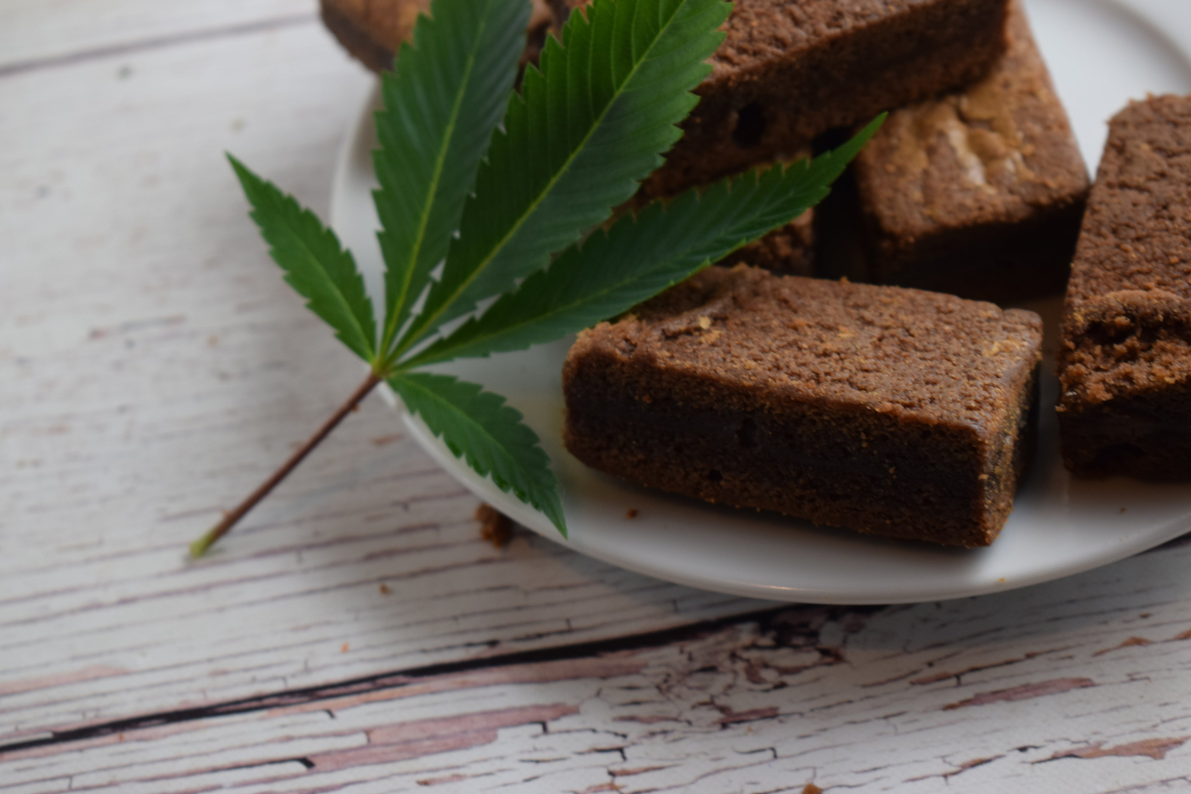 Get Baked with These 5 Delicious Pot Brownie Recipes