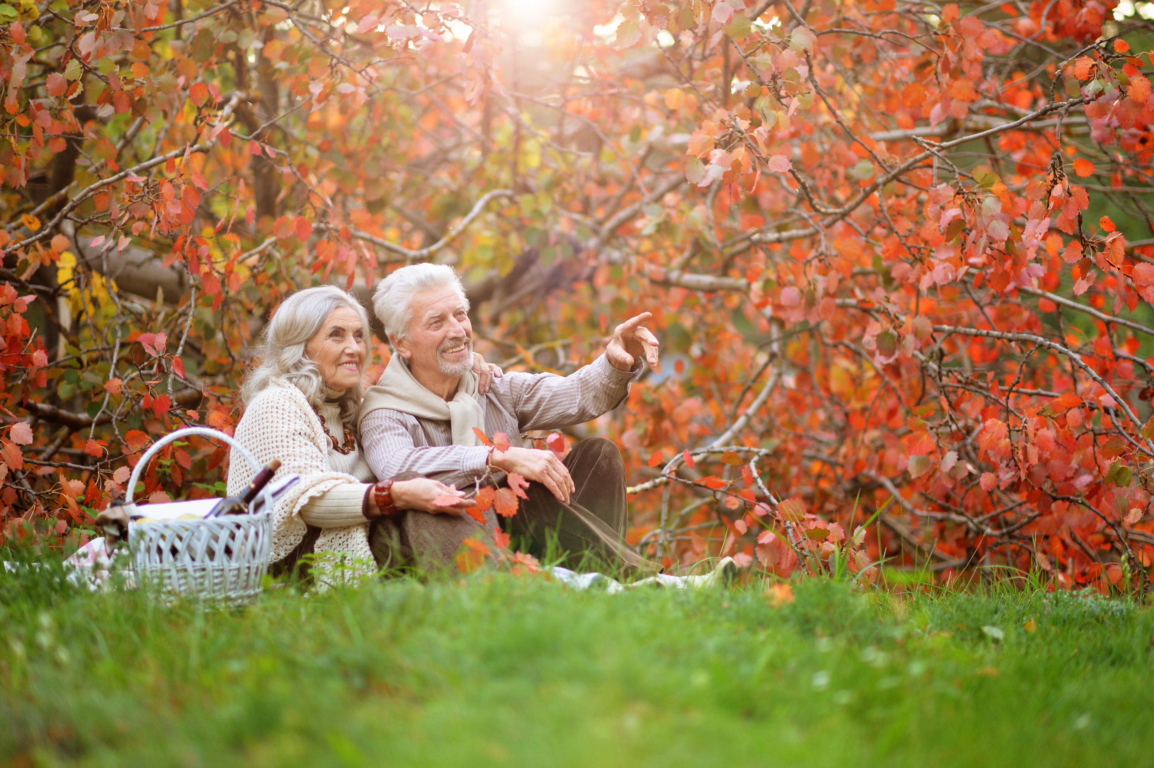 Getting the Best Autumn Photos: A Guide for Active Seniors
